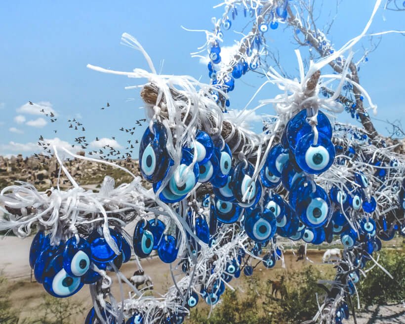 Evil Eye Tree at the Pigeon Valley